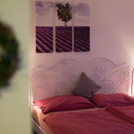 Apartment Mir