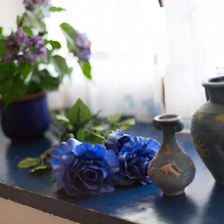 Mir شقة Polje (Krk)