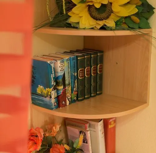 Apartment Mir